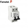 Magnetotérmico 2P 40 Amperios FAMATEL C6