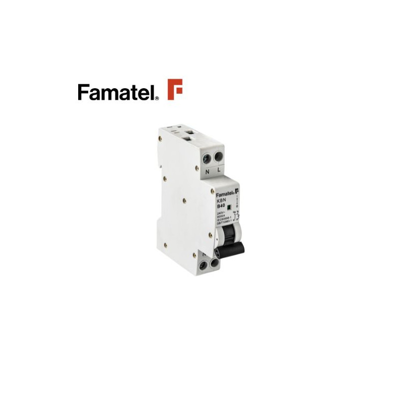 Magnetotérmico DPN 1P+N 25 Amperios Módulo estrecho FAMATEL C12