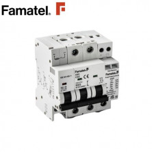 Protector de sobretensiones permanentes y transitorias 2P 25 Amperios FAMATEL C1