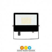 Proyector FORGE MULTIPLEX 30/50w CCT Ajustable tono luz (Sensor mov. opc.) Negro IP65 SILVER