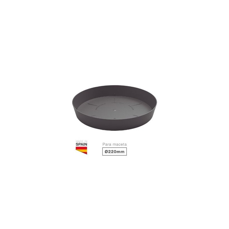 Plato para cuenco y maceta Tes y Doric Diámetro 220mm Gris antracita GSC