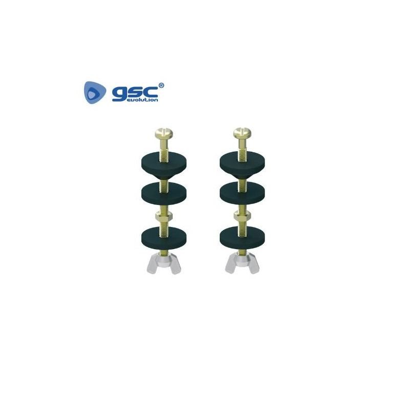 Bolsa con 2 tornillos para fijacion cisterna tanque bajo GSC C1/1