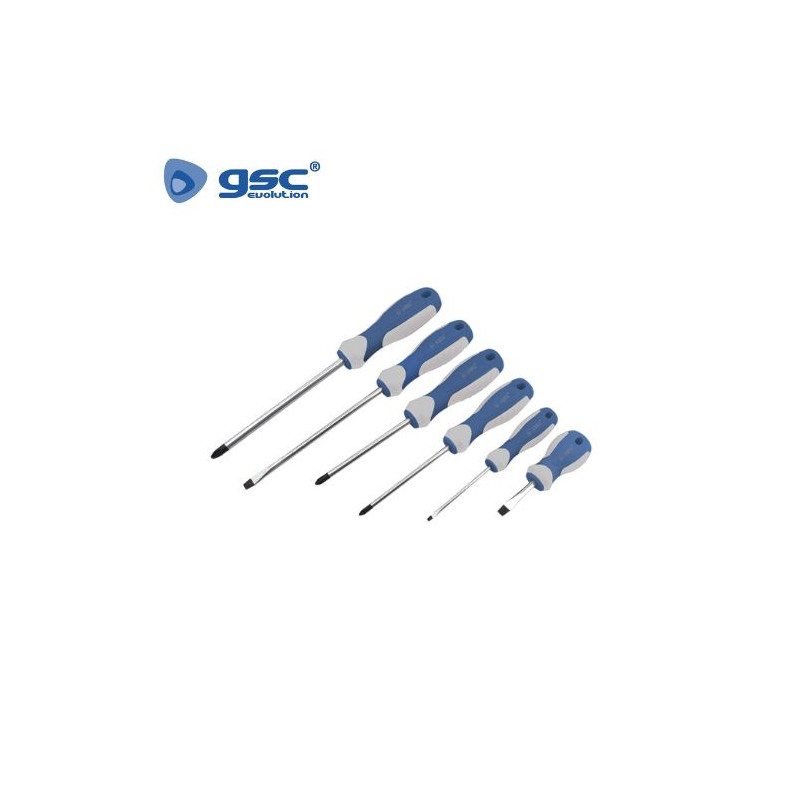 Juego de 6 Destornilladores - 3 planos y 3 Philips GSC C10/20