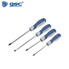 Juego de 4 Destornilladores - 2 planos y 2 Philips GSC C10/40