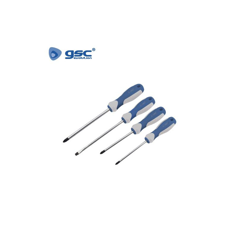 Juego de 4 Destornilladores - 2 planos y 2 Philips GSC C10/40