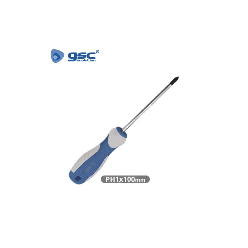 Destornillador Philips PH1x100mm GSC C12/240