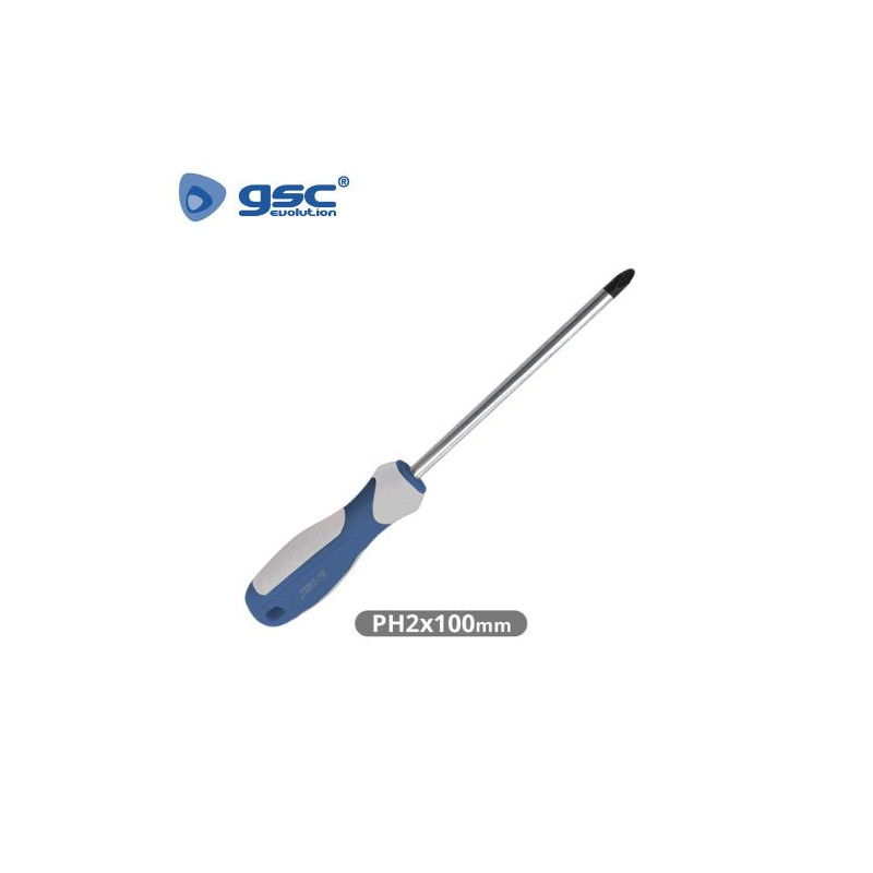Destornillador Philips PH2x100mm GSC C12/120