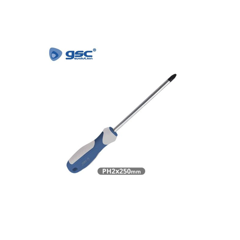 Destornillador Philips PH2x250mm GSC C12/120