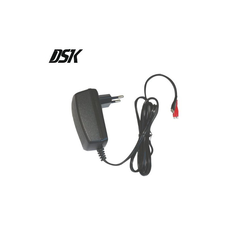 Cargador Batería de Plomo BC6500 DSK