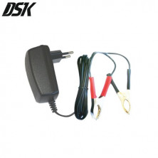 Cargador Batería de Plomo BC12500 Auto DSK