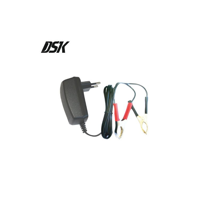 Cargador Batería de Plomo BC12500 Auto DSK