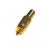 Conector RCA Macho audio metálico Dorado Negro AVALVA