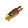 Conector RCA Macho audio metálico Dorado Rojo AVALVA