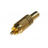 Conector RCA Macho video metalico. Dorado AVALVA