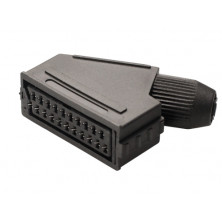 Peritelevision hembra AVALVA