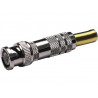 Conector Macho BNC con capuchon y pasaCable metalico AVALVA