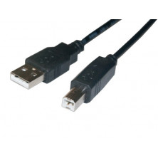 Conexión USB Macho A - Macho B 0,5m AVALVA