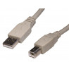 Conexión USB Macho A - Macho B 3m AVALVA