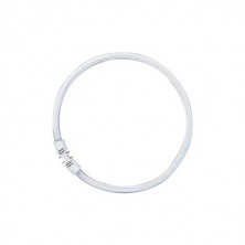 Tubo Fluorescente T5 Circular 40w 2700K Diámetro 300mm LUMILUX OSRAM