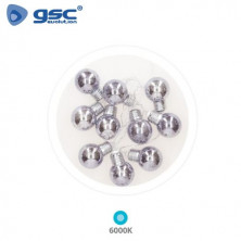 Guirnalda LED Decorativa 1,35m 10 Leds Bombillas Plateadas 6000K Funciona a pilas IP20 GSC C1/10