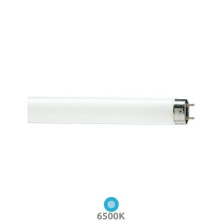 Tubo Fluorescente T8 36w 6500K 2500Lm 120cm CLAR C25